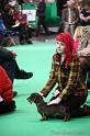 Crufts2011_2 915